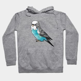 Bird - Budgerigar Parakeet - Blue Hoodie